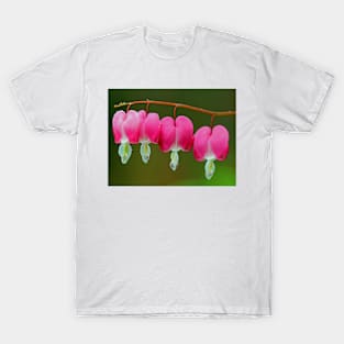 Pink hearts T-Shirt